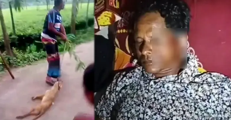 পঞ্চগড়ে শিয়ালের কামড়